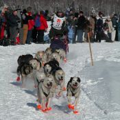 Mush with Sophia, th